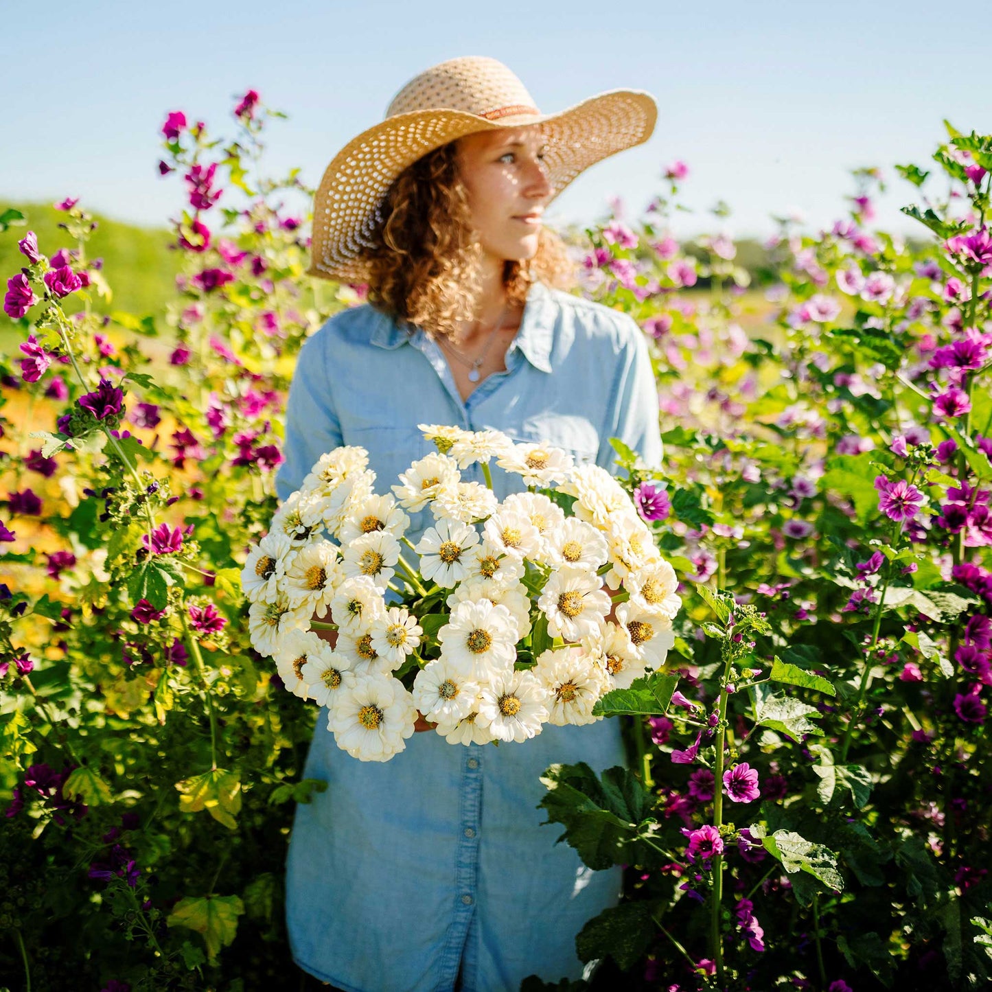 Zinnia Seeds - Polar Bear